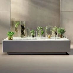 BABOR The Cure Cream 50 Ml -Babor 12118851 5